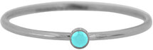 Charmin's Birthstone December Turquoise Steen Steel R1467/KR85