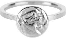 Charmin’s stapelring staal R628 Coin of power Shiny Steel