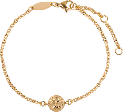 CB31 Roman Coin Bracelet Gold Steel