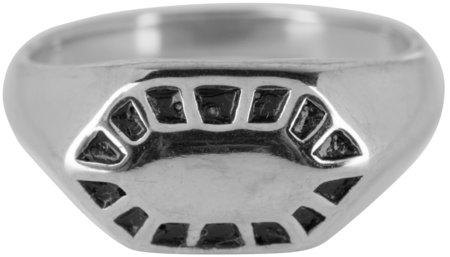 Charmin’s zegelring R673 Fancy Seal Shiny Staal
