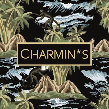 5537 Charmin’s Bewaardozen Sieraaddoos