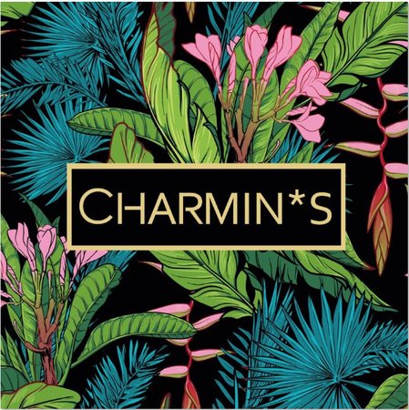 5535 Charmin’s Bewaardozen Sieraaddoos
