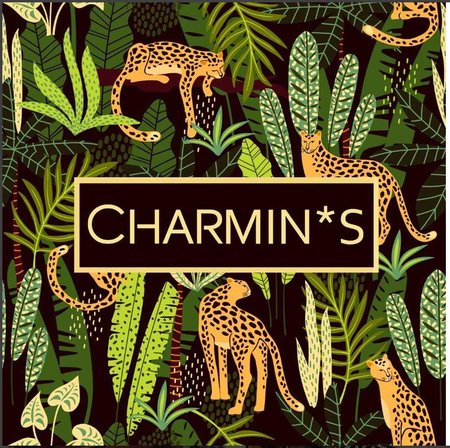 5534 Charmin’s Bewaardozen Sieraaddoos