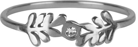 Charmin’s stapelring R922 Crystal Spring Staal