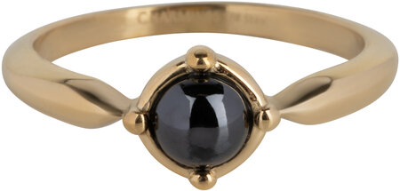 Charmin’s Ovale Elegante Zwarte Hematiet Ring Gold R1168