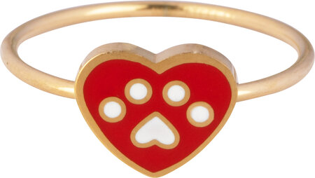 KR113 Dierenliefde Goud staal Kinderring