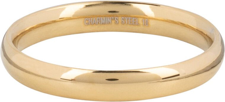 Charmin's Ring Gold Rond Large 3,1 MM R1469