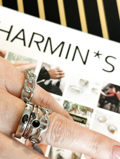 Charmin’s Ring Marine of Gucci Schakel Staal R1394