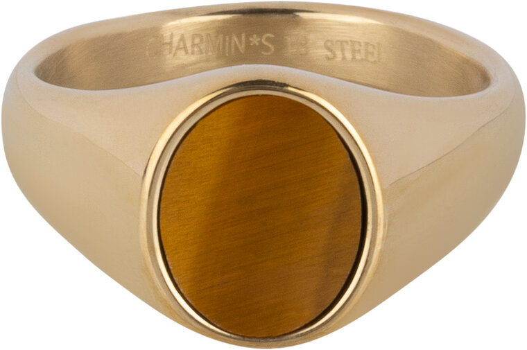 Charmin's goldfarbener Siegelring mit flachem ovalem Tigerauge-Edelstein, Stahl R1478