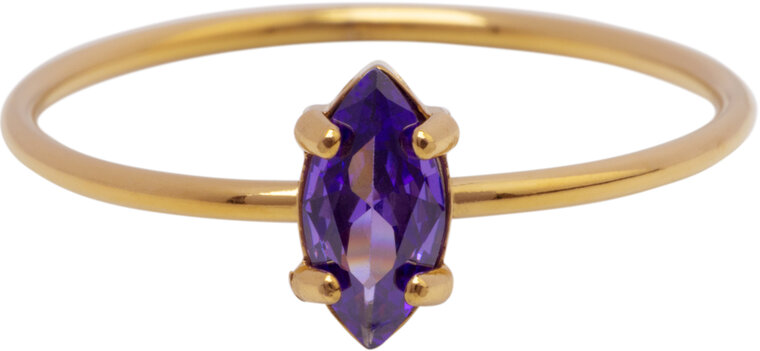 Charmin's Goudkleurige Ring met Ellipsvormig Lila Kristal R1687– Elegant en Eigenwijs