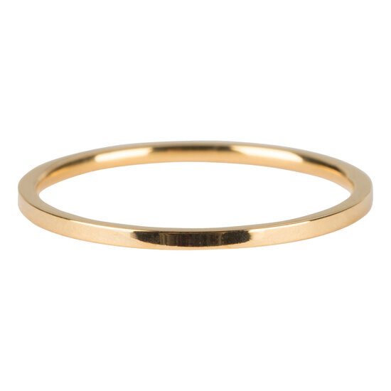 R693 Basic Petite Gold Steel