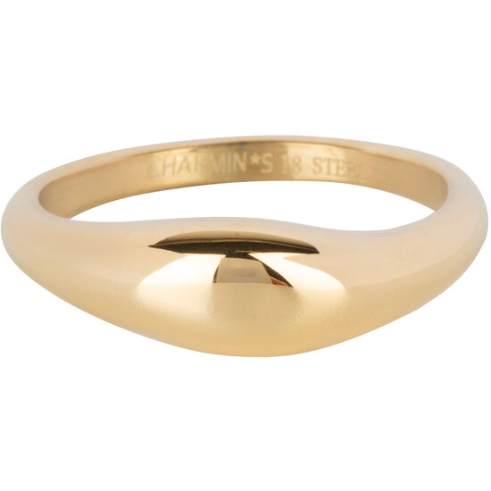 Charmin's Goudkleurige Moderne Asymmetrische Zegelring Ovaal Staal R1369