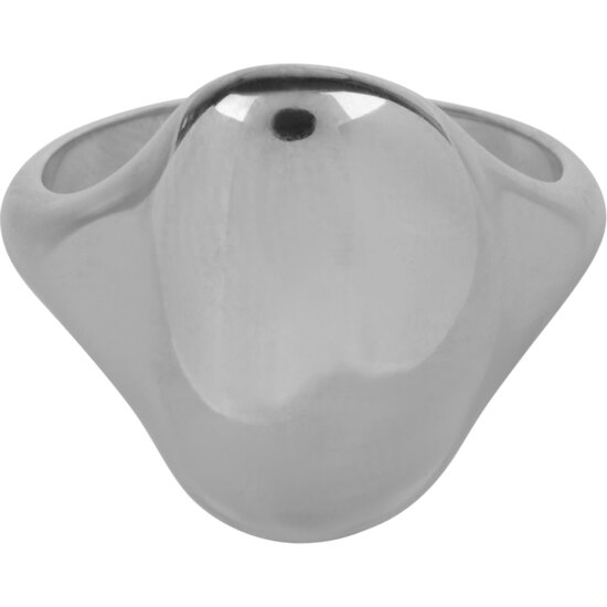 Charmin's Grote Organische Zegelring Staal R1149 – Comfortabele Eyecatcher