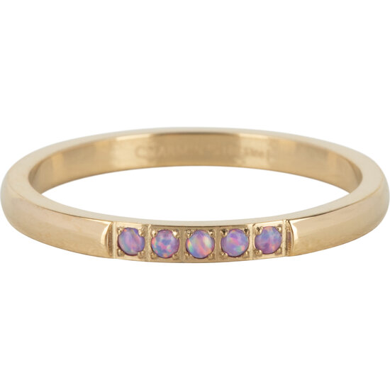 Memoire Ring Ring Paars Opaal 5 steentjes Goudkleurig R1130