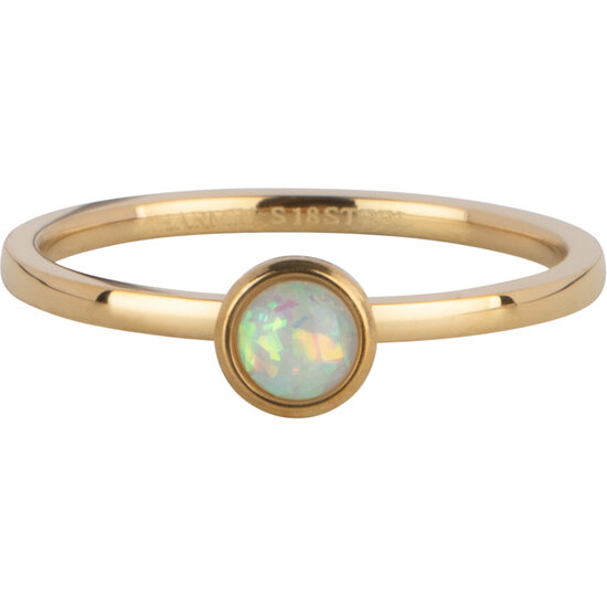 Charmin's Goudkleurige Ring Birthstone October Opaal/ Tourmaline Staal Iconic  R1610