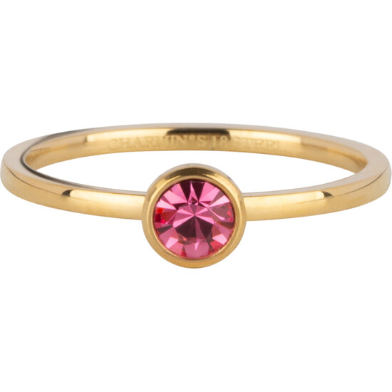 Charmin's Goudkleurige Ring Birthstone October Opaal/ Tourmaline Staal Iconic  R1606