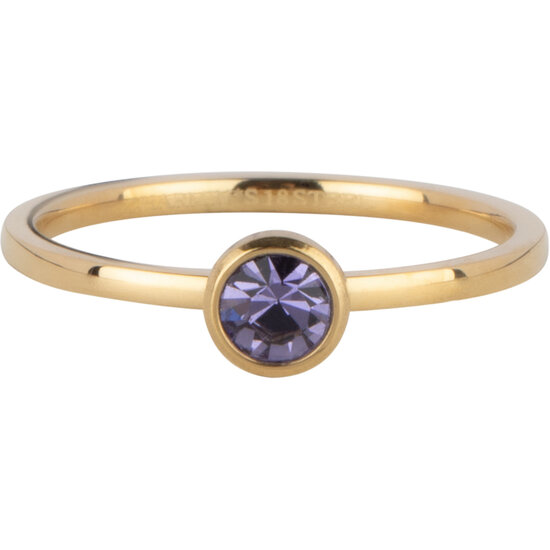 Charmin's Goudkleurige Ring Birthstone Februari Paars Lila Kristal Staal Iconic R1594