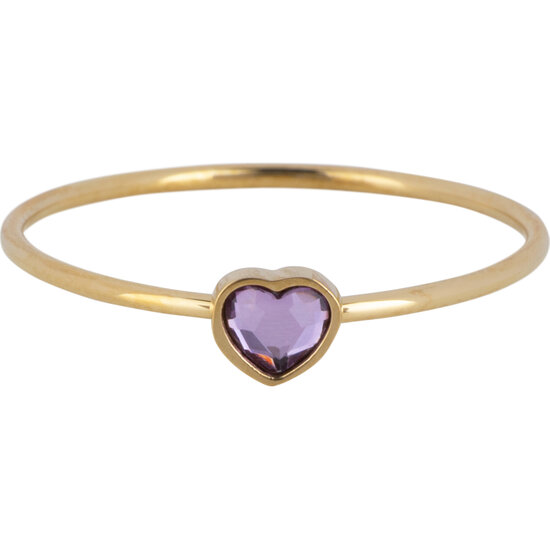 Charmin's Goudkleurige Ring met Paarse Lila Hartsteen Staal R1570 – Birthstone Februari