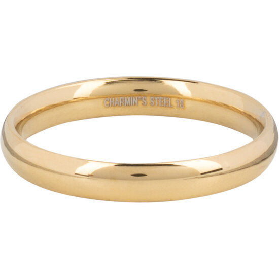 Charmin's Ring Gold Rond Large 3,1 MM R1469