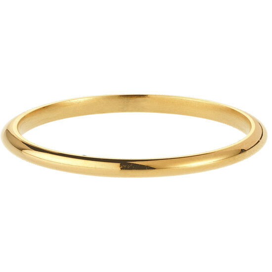 Charmin's Ring Goldl Rond Mini 2 MM R1465