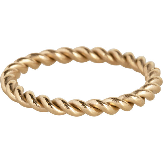 Charmins goldfarbener gedrehter Ring aus Stahl 2 mm R1008