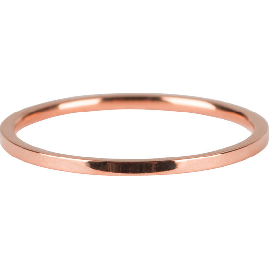 R694 Basic Petite Rose Gold Steel