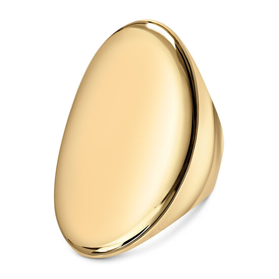 Charmin's Goudkleurige Chunky Ring met Ovale Vorm Staal R1797 – Stijlvol en Comfortabel
