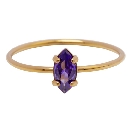 Charmin's Goudkleurige Ring met Ellipsvormig Lila Kristal R1687– Elegant en Eigenwijs