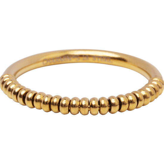 R1666 Goudkleurige Anxiety Palm Small met Balletjes Staal