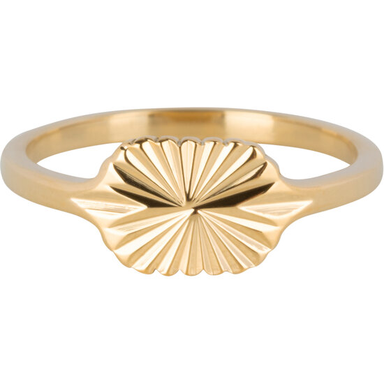 Charmin's Goldfarbener Siegelring mit Gravur Sternmuster, ovaler Stahl R1345