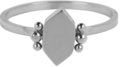Charmin&#8217;s  zegelring R712 Modern Ladybug Shiny Staal
