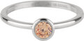 R1041 Stylish Bright Steel Champagne