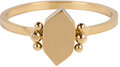 Charmin’s goudkleurige zegelring R713 Modern Hexagon goldplated staal