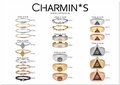Charmin’s goudkleurige zegelring R733 I See You goldplated staal