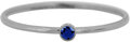 Charmin's Birthstone Ring September Blauwe Sapphire Steel R788/KR83