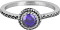 Charmin's Ring Birthstone Februari Paars Lila Kristal Staal Iconic Vintage R1522